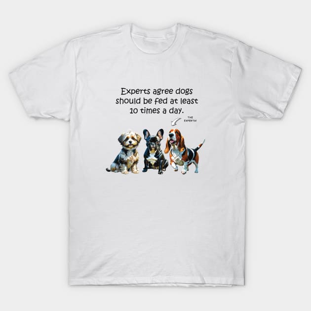 Experts agree dogs should be fed at least 10 times a day - funny watercolour doggie designs T-Shirt by DawnDesignsWordArt